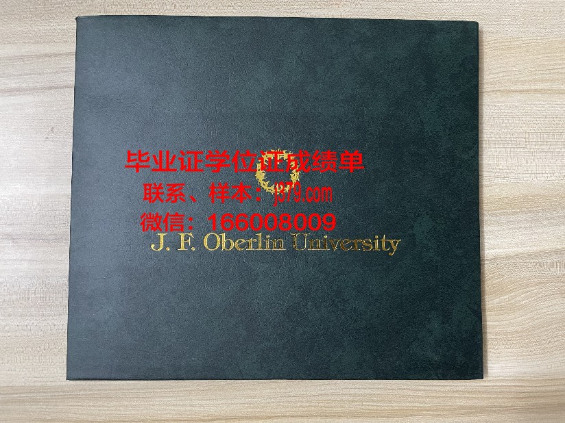 巴登符腾堡双元制应用技术大学成绩单(巴登符腾堡州双元制大学)