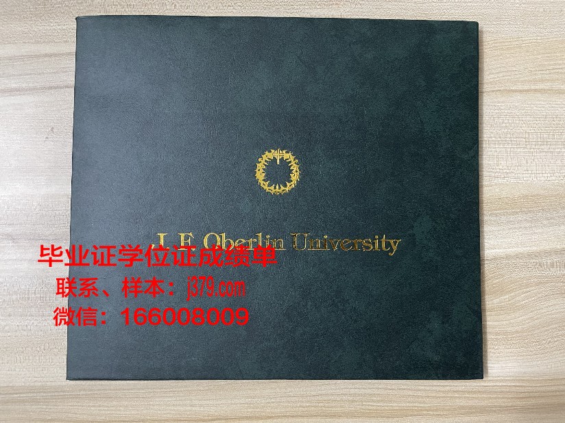 奈梅亨大学diploma证书(奈梅亨大学世界排名)