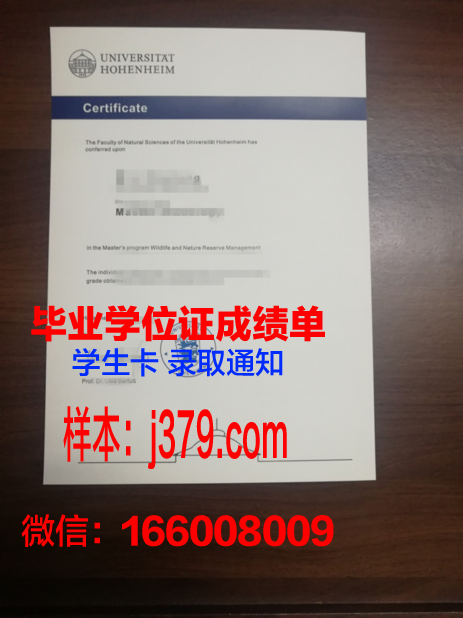 普福尔茨海姆应用技术大学学位证(普福尔茨海姆首饰博物馆)