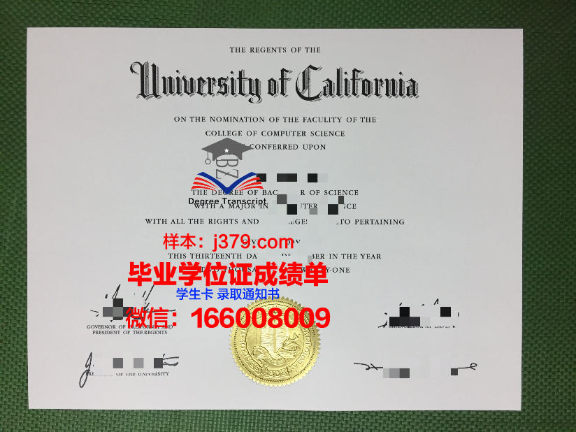 大田保健大学毕业证是什么模样