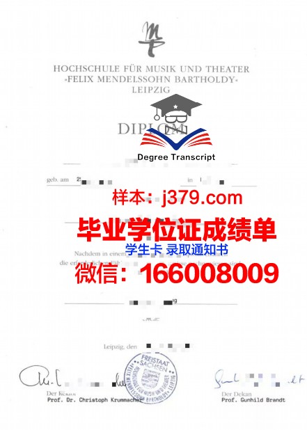 莱比锡技术经济与文化应用技术大学毕业证是什么模样(德国莱比锡工程经济文化大学)