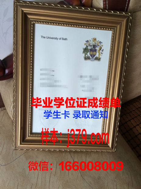 巴斯斯巴大学毕业证
