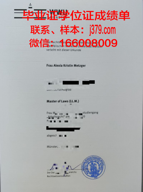 明斯特造型艺术学院毕业文凭