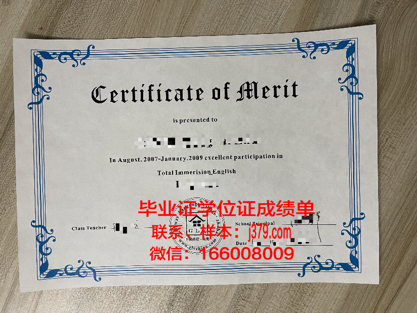 大田保健大学diploma证书