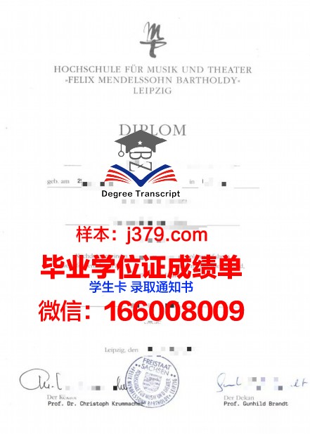 莱比锡技术、经济与文化应用技术大学学位成绩单定制：打造个性化教育新篇章