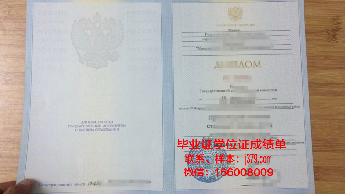 莫斯科苏里科夫国立美术学院毕业证学位证(莫斯科国立美术馆)
