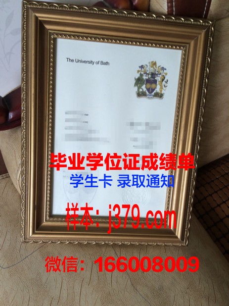 巴斯本科学位证：一份跨越国度的学术荣誉