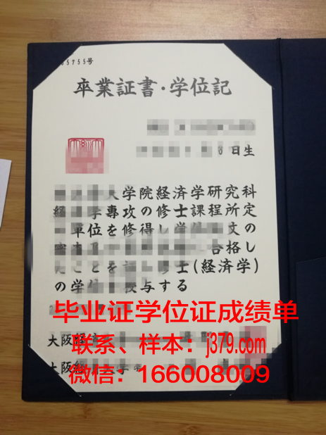 大阪艺术大学毕业证图片(大阪艺术大学是本科吗)