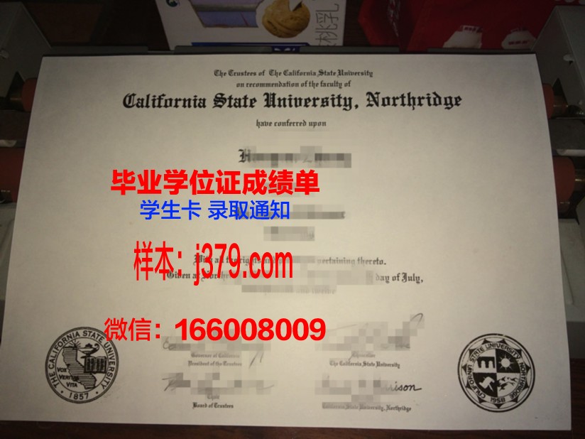 明尼苏达州立大学摩海德分校毕业学位