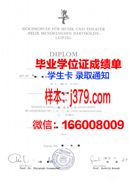 莱比锡技术、经济与文化应用技术大学学位成绩单定制：打造个性化教育新篇章