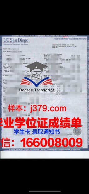 大广成绩单:揭示成长与进步的轨迹