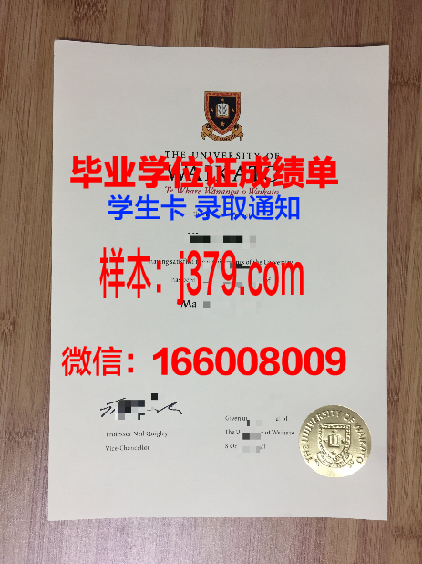 明尼苏达州立大学曼卡托校区毕业证图片Minnesota State University Mankato Diploma