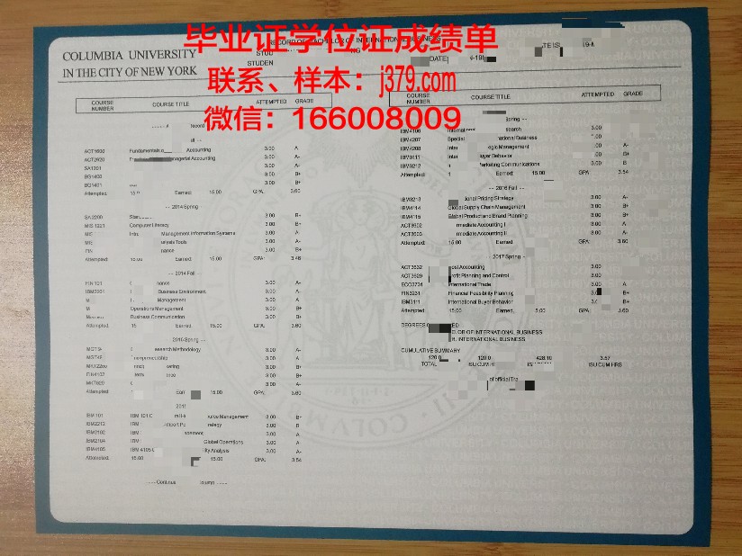 星城大学成绩单:一份激励与反思的青春记录