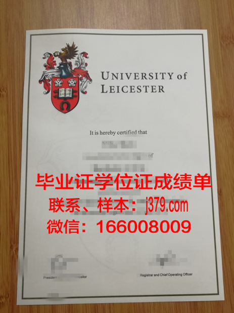 莱斯U硕士毕业证：解锁未来职业生涯的金钥匙