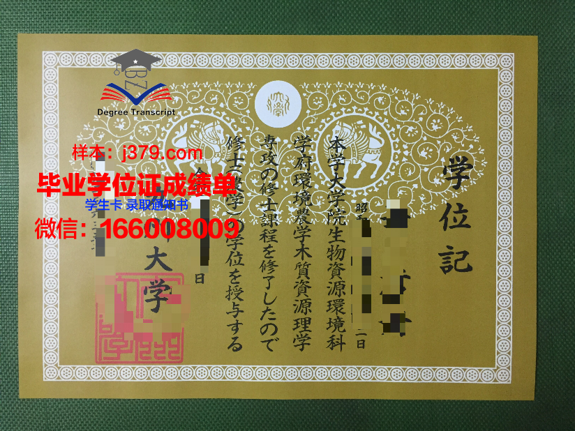 西九州大学毕业证案例