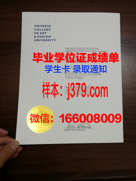 时尚艺术与技术高等学院毕业证书图片(时尚艺术设计属于什么专业)
