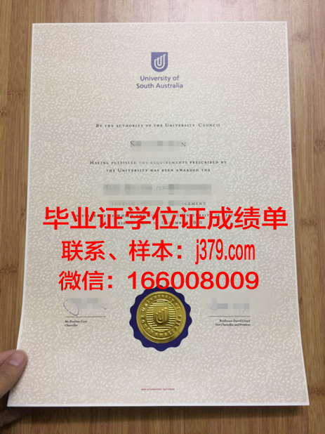 南澳大本科毕业证：一份跨越国界的学术荣耀