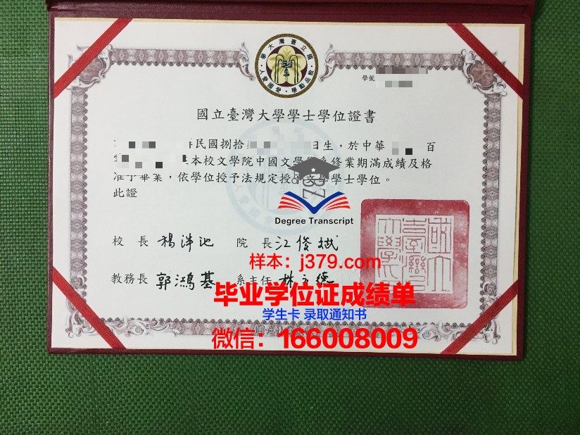 西伯利亚国立地球系统与技术大学学生卡(西伯利亚国立艺术学院)