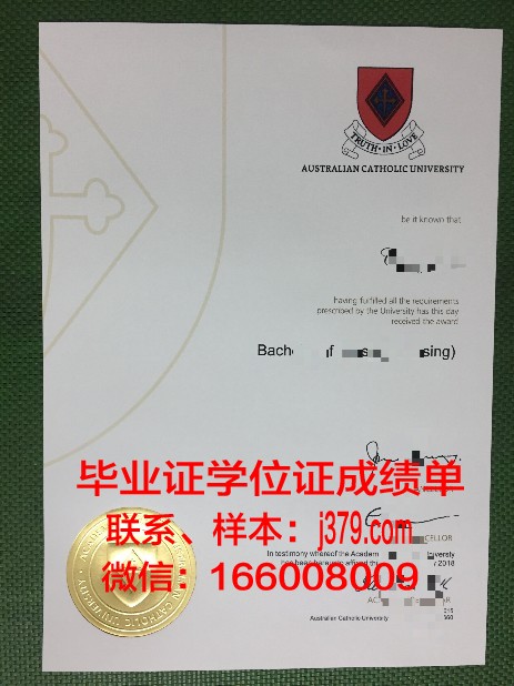 南大河州天主教大学毕业证照片