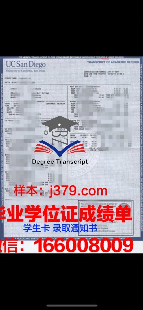 南北大学成绩单：一场关于教育质量的思考