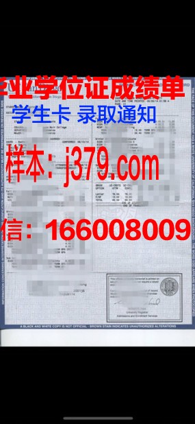 南布列塔尼大学国立高等工程师学院学位成绩单定制:专业与严谨的完美结合