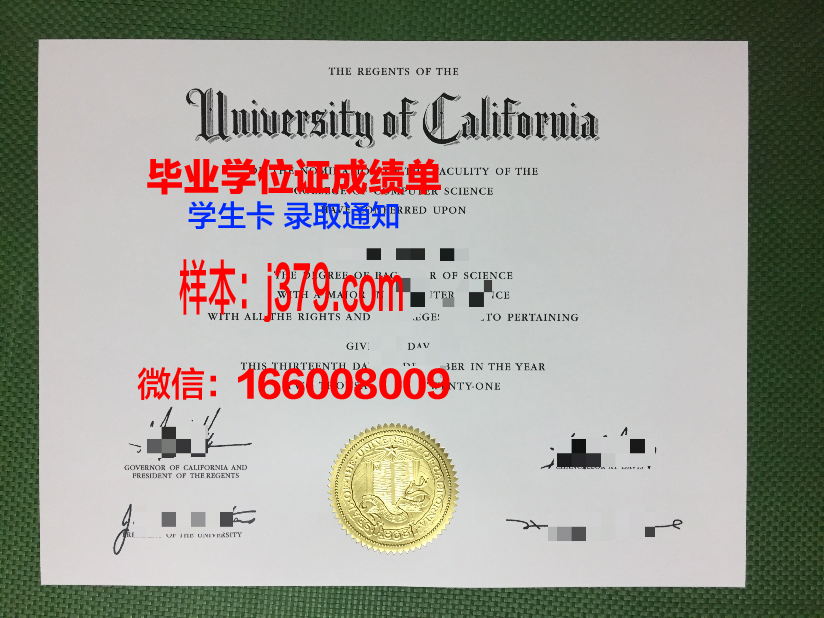 南内华达学院毕业证：一张纸的重量与价值