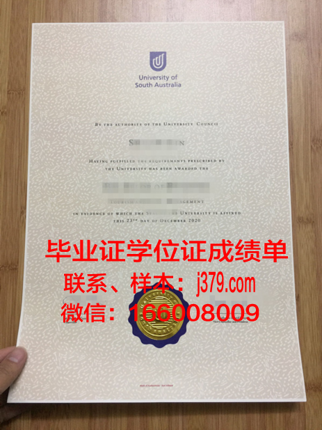 南澳大学成绩单(南澳大学补考)