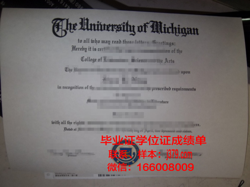 日本留学不能毕业证(去日本留学没有毕业证开毕业证明可以吗)