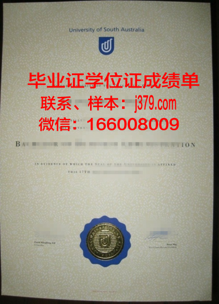 南澳大学成绩单(南澳大学补考)