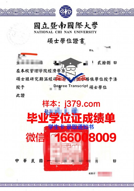 南布列塔尼大学国立高等工程师学院硕士学位证——一张通往未来的通行证