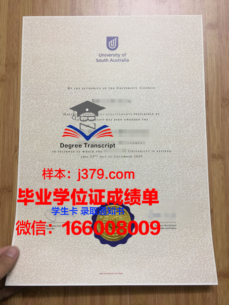 南澳大学毕业证定制：传承与创新的艺术结晶