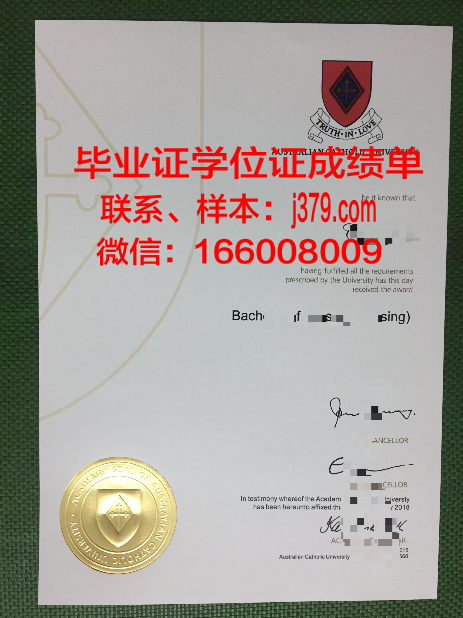 天主教神学联盟成绩单:信仰之光在时代洪流中的闪耀
