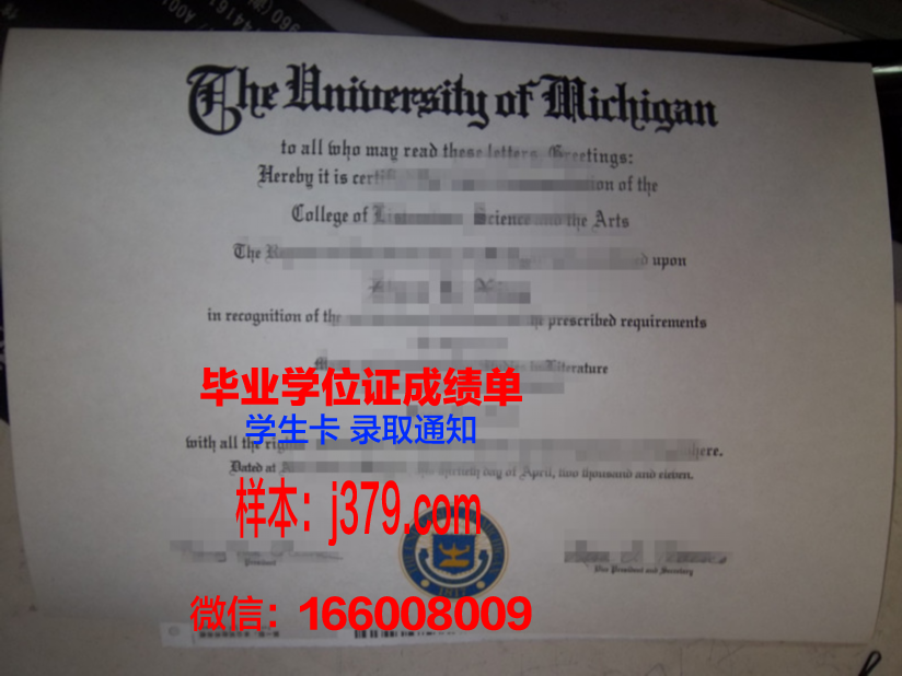 大神大学博士毕业证:一张纸的重量与梦想的力量