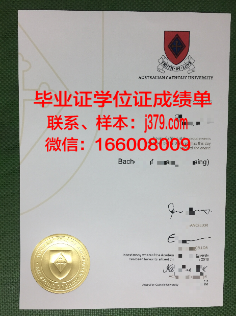 南方比维斯天主教高等专业学院毕业证书图片