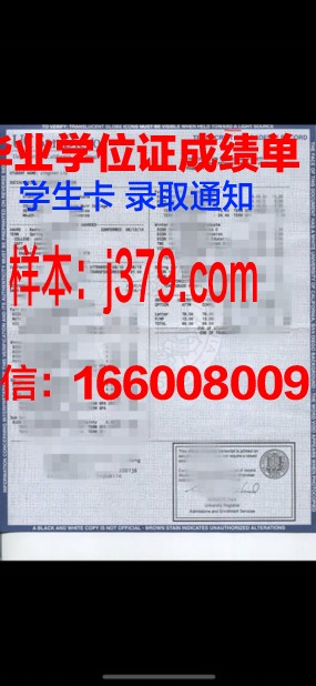 南方学位成绩单定制攻略：教你轻松搞定！