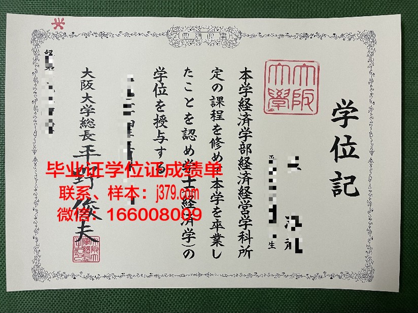 大阪设计师专门学校博士毕业证:开启职业生涯的黄金钥匙