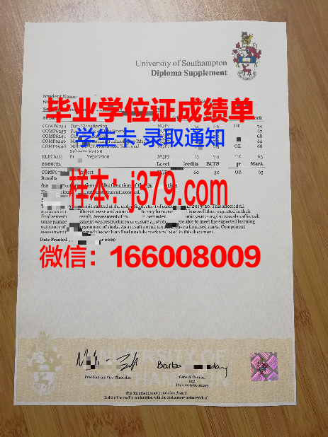 南安普顿索伦特大学毕业文凭