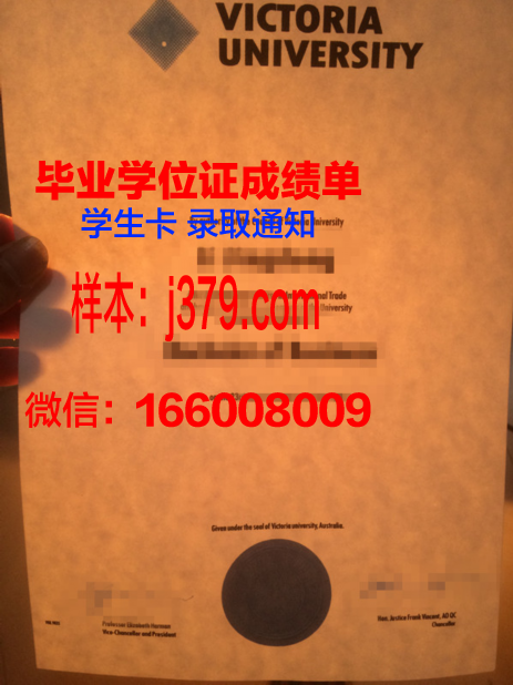 大维本科学位证：一份不可或缺的学术荣誉