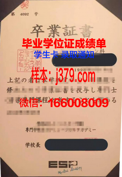 日本计算机专门学校成绩单：一份展现技能与实力的证明