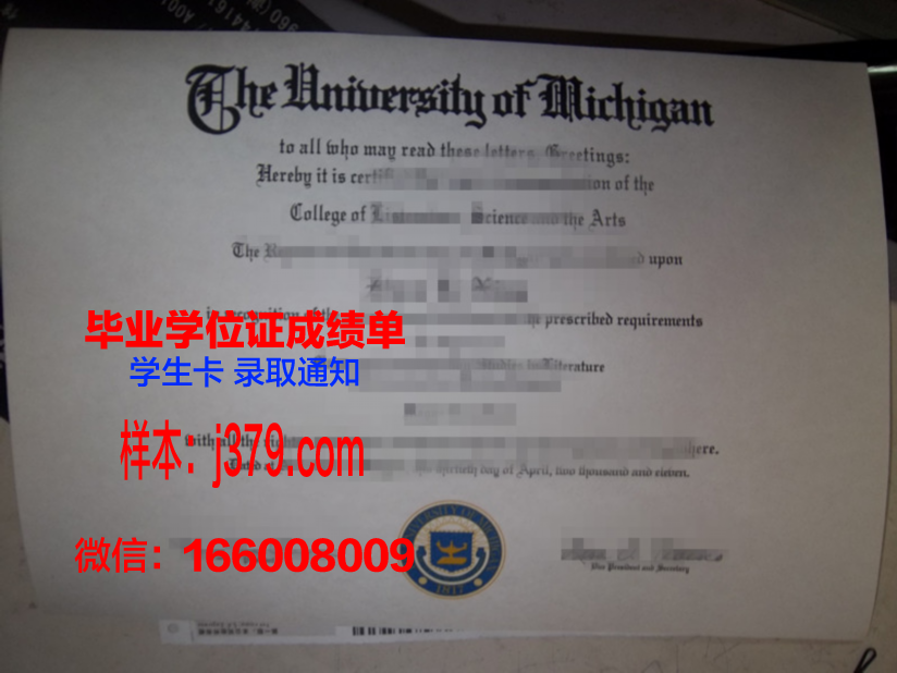 西伯利亚国际关系与区域学学院毕业证什么样子(西伯利亚研究是c刊吗)
