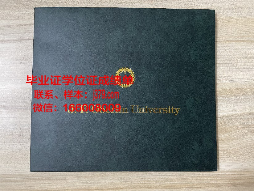 日本共立女子大学博士毕业证书(日本博士出愿)