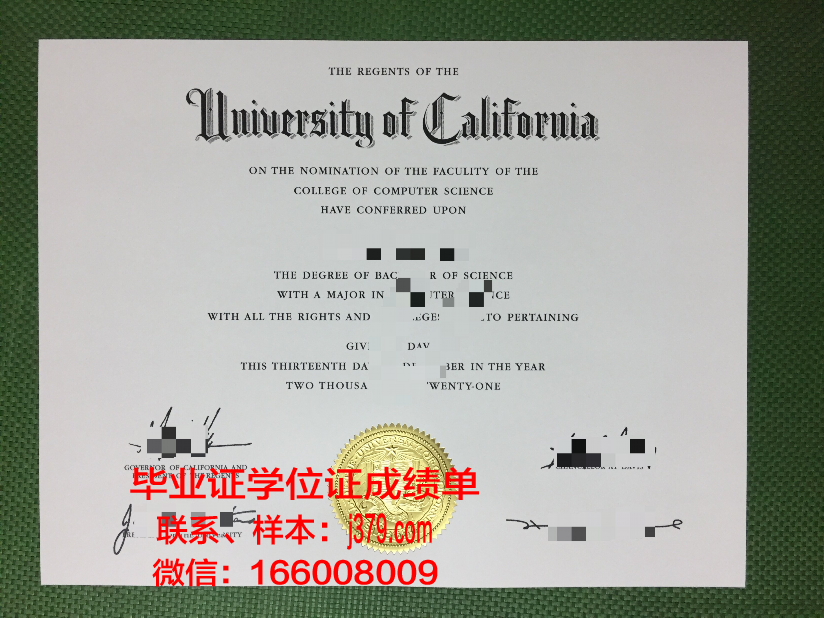 日产大硕士毕业证：跨越学术与实践的桥梁
