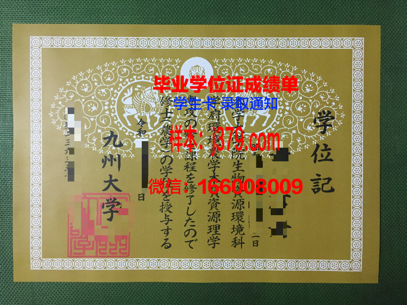 日本赤十字九州国际看护大学毕业证补办
