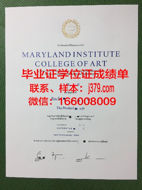 西伯利亚国际关系与区域学学院毕业证(西伯利亚国立艺术学院)
