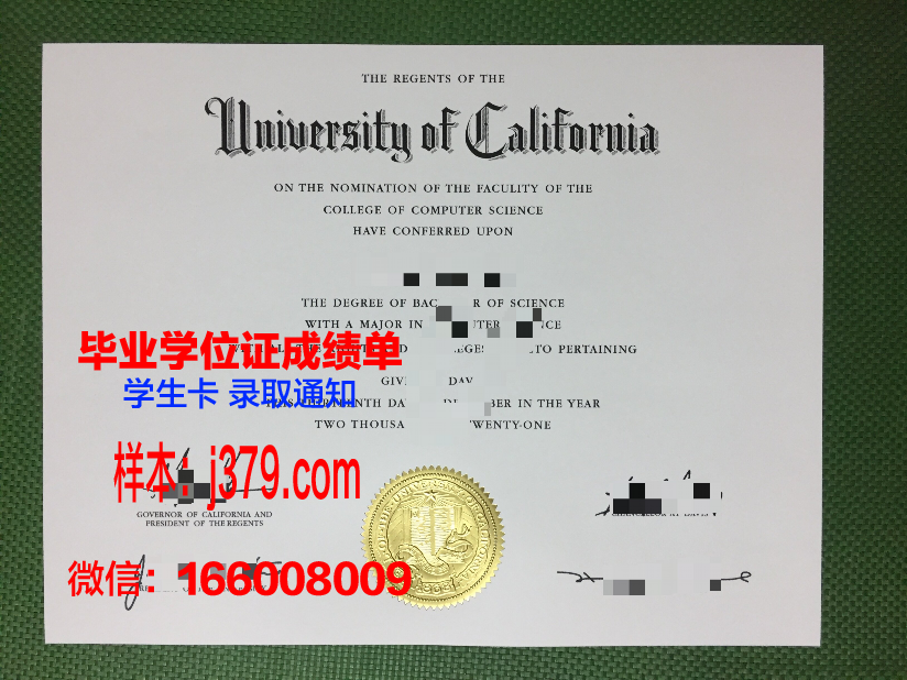 南十大硕士毕业证：承载荣誉与梦想的证书