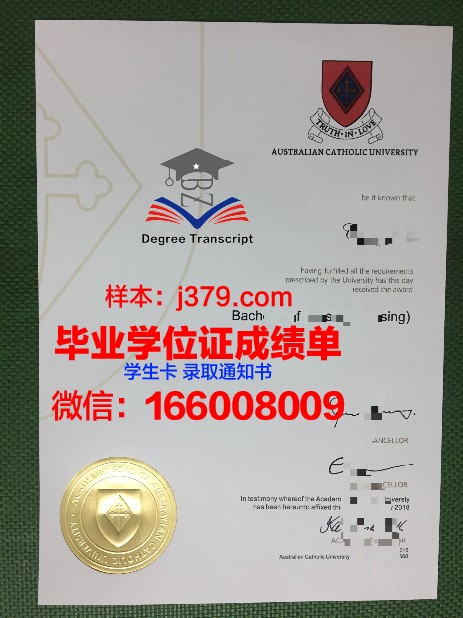 天主教神学联盟成绩单:信仰之光在时代洪流中的闪耀