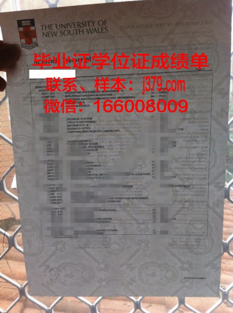 南方博士毕业证书图片高清:记录辉煌时刻的永恒纪念