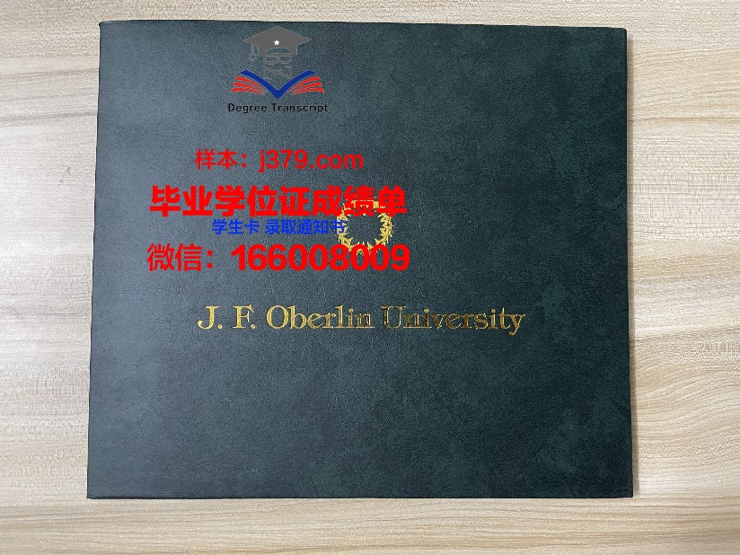 日本博士毕业证图片：一份跨越文化的学术荣誉