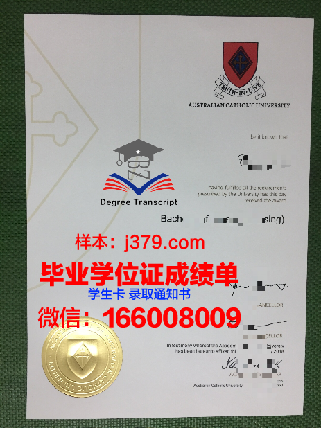 南方比维斯天主教高等专业学院毕业证成绩单