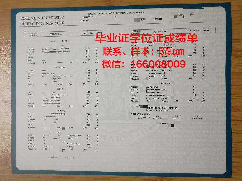 南布列塔尼大学国立高等工程师学院学位成绩单定制:专业与严谨的完美结合